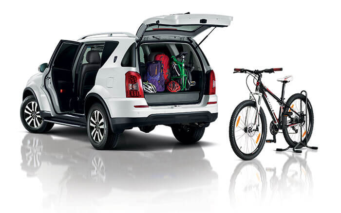 rexton04